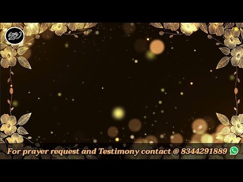 11 03 2026 Promise Tam Eng