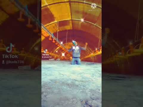 ركبت فل كروسة البيضة