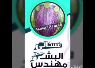  فسخاني المهندس