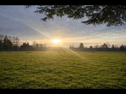 Turtle Island Report Mar 28 2026