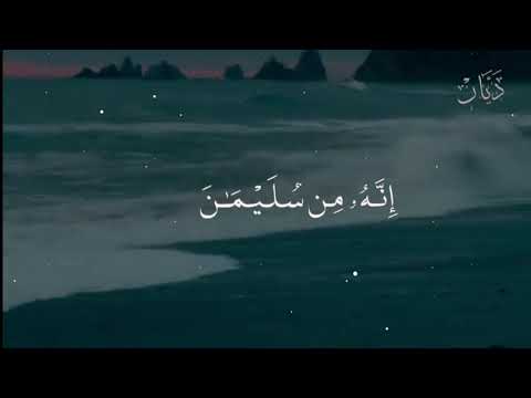 سورة النمل اية 29 محمد احمد شبيب