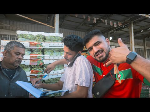 MSATI 7 HAMORa VIDEO OFICIAL