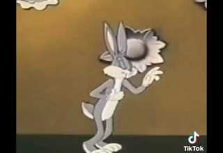 رياكشن ارنب يرقص على شيله سقم حالي ياعلي من منقشه اليدين