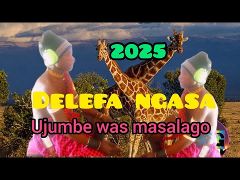DELEFA NG WANA NGASA UJUMBE WA MASALAGO PRD BY N RECORDS 2025