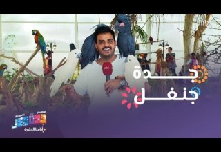 أقوى التجارب الثرية والفعاليات الشيقة في جدة جنغل