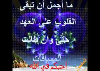احبكم في الله