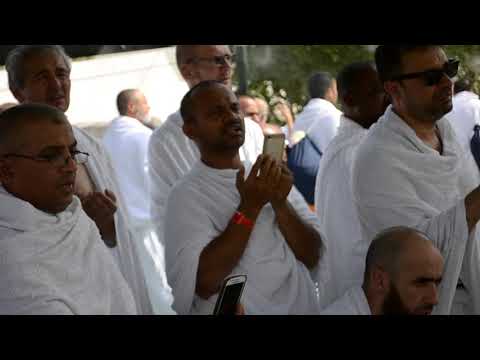 دعاء الشيخ حسن صالح في مكتب المطوف نضال الشريف 1436