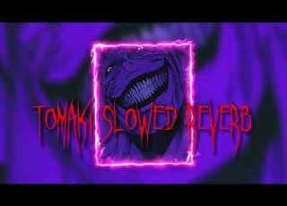 Tomaki Slowed Reverb By S4nri0
