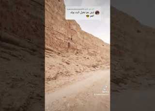  يا غزال يا اللي مشقيني قولي وين توديني على الترند يلا