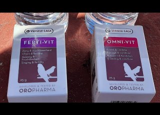 الفرق بين Ferti Vit و Omni Vit طريقة الإستعمال والمدة لقنقدمهم للطيور