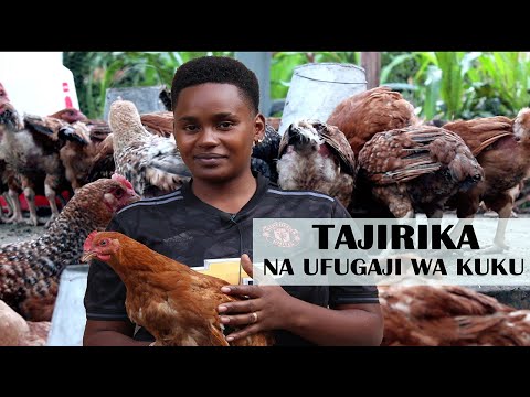 UFUGAJI WA KUKU CHOTARA AINA YA SASSO KWA KUKU WA NYAMA