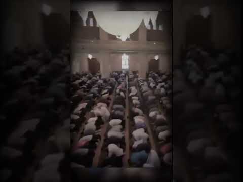 صلاة الجماعة الشيخ حمزة المجالي حالات واتس اب صلاة الجماعة الشيخ حمزة المجالي حالات واتس اب