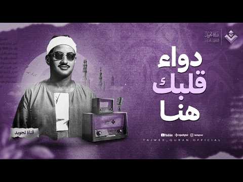 صوت يبكي الحجر تلاوة بنبرة حزينة تزلزل القلوب من سورة النمل الشيخ المنشاوي