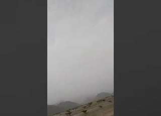 شاهد 26 اسير يافعي من اتباع ابوزرعة المحرمي في يد قبائل الاغبرة نام الصبيحة لحج وغنائم كثيرة