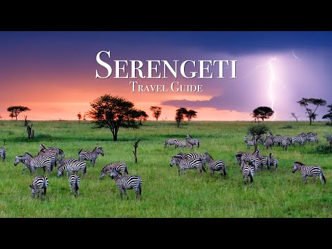 How To Visit The Serengeti African Safari Travel Guide