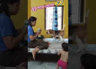 ব ন পড গ ল Comedyforever Comedyfilms Comedymove Funny