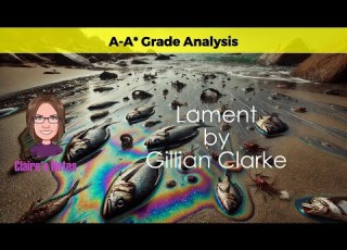 Boost Your IGCSE Grades With This Look At Lament By Gillian Clarke