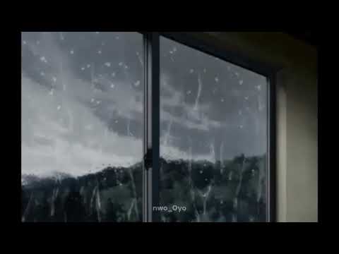 𝗖𝗵𝗲𝗯 𝗛𝗮𝘀𝗻𝗶 𝗞𝗶𝗻𝗱𝗶𝗿 𝗮𝗻𝗮 𝘁𝗲𝗻𝘀𝘀𝗶𝗻𝗶 𝗦𝗹𝗼𝘄𝗲𝗱 𝗥𝗲𝘃𝗲𝗿𝗯