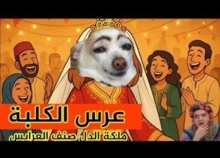 مايمكنش على تبهديلة لي درت فعرسي عرس الكلبة بصوت الراوية زينب