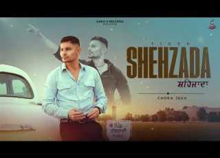  Chora Jeha Album Shehzada Tiger Singhjeet G Guri Punjabi Song 2026