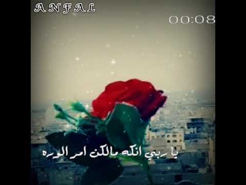 ياربي انك مالك أمر الورى حالات واتس اب دينية ياربي انك مالك أمر الورى حالات واتس اب دينية