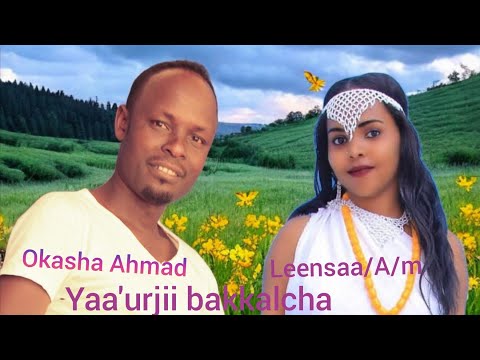 Okasha Ahmad Ft Lensaa A M Yaa Urjii Bakkalchaa New Ethiopian Oromo Music 2025 Official Video