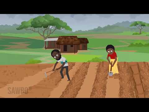 Karanga Mbinu Nzuri Za Kilimo Kwa Uzalishaji