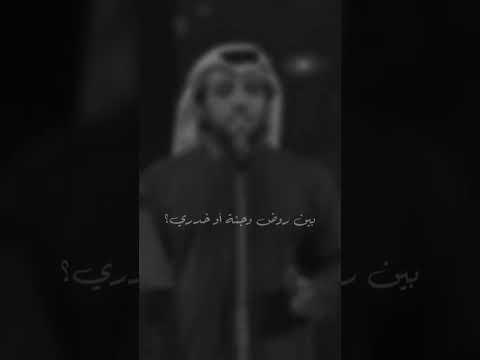 Eidha Al Menhali Qmrah عيضه المنهالي قمره اكسبلور فنان