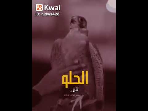 اغنية ليبية كيف الصقر