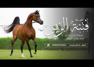  شيلة مدح جديد 2025 فتنة الزين اداء هاني الذيابي تنفيذ بالاسماء شيلات حماسيه