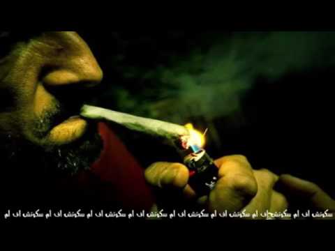 ألي بي يشرب حشيش يرفع يده