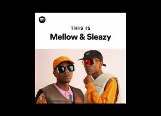  Mellow Sleazy Scott Maphuma Type Beat 2026 Amapiano FLP
