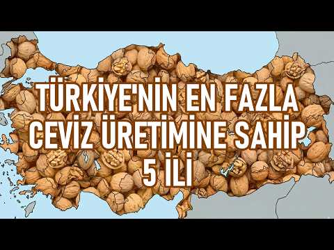 Türkiye Nin Ceviz Üretimi En Fazla Olan 5 İli 2026 Türkiye Nin Ceviz Üretimi En Fazla Olan 5 İli 2026