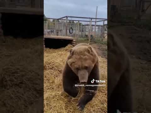 هبو يا رجال