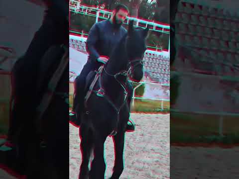 يا شيخ الزلم الرئيس أحمد الشرع حفظه الله سوريا تركيا قطر السعودية