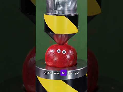 كحك العيد الصلب اول يوم العيد لما العيلة كلها تدخل تحدي كسر الأسنان اكسبلور قصص العيد كحك العيد الصلب اول يوم العيد لما العيلة كلها تدخل تحدي كسر الأسنان اكسبلور قصص العيد