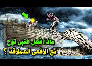 قصة النبي نوح مع الأفعى العملاقة البالع عمرها مليون سنة ولماذا رفض سيدنا نوح دخولها السفينة