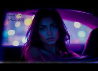  Amir DJ Crazy Night Original Mix