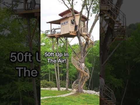 منزل صغير مذهل على شجرة على ارتفاع 50 قدم ا في الهواء