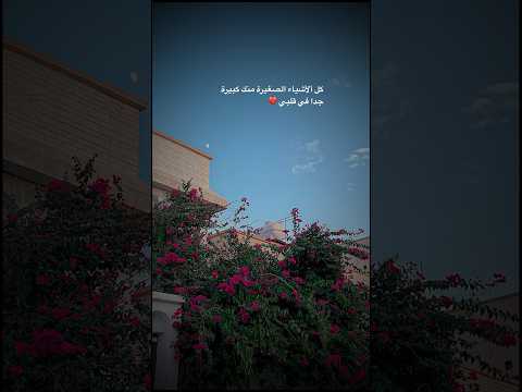 حالات واتس اب حب جميلة Like اكسبلور ذواقه اقتباسات لايك عبارات تصميمي ستوريات شعر