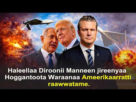 Haleellaa Diroonii Manneen Jireenyaa Hoggantoota Waraanaa Ameerikaarratti Raawwatame