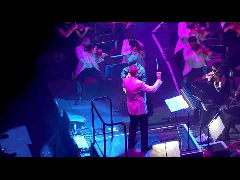 MARCIN Patrzalek Royal Philharmonic Orchestra Habenera From Carmen By Bizet Live