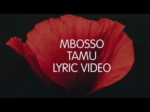 Mbosso Tamu Lyric Video SKIZA 8544941 To 811