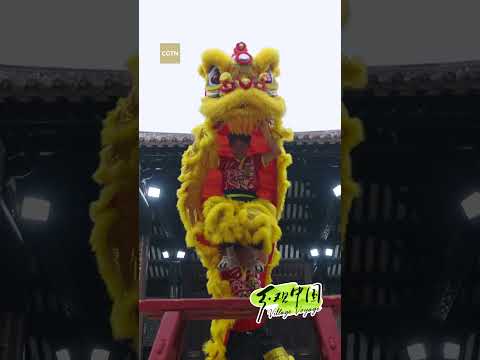 Lion Dance A Namibian Traveler S Journey Into Shunde S Spirit
