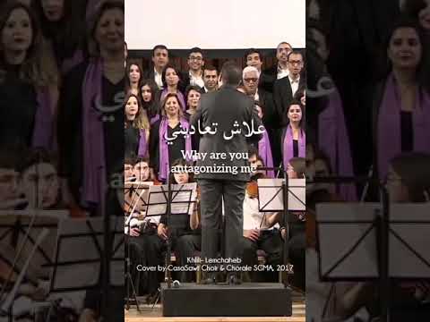 أغنية خليلي لفرقة المشاهب بطريقة رهيبة أغنية خليلي لفرقة المشاهب بطريقة رهيبة