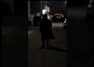 اجينه لباب المراد زيارة الأسد بغداد مسلم الوائلي