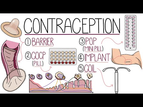 Methods Of Contraception Made Easy Contraceptive Methods Explained Methods Of Contraception Made Easy Contraceptive Methods Explained