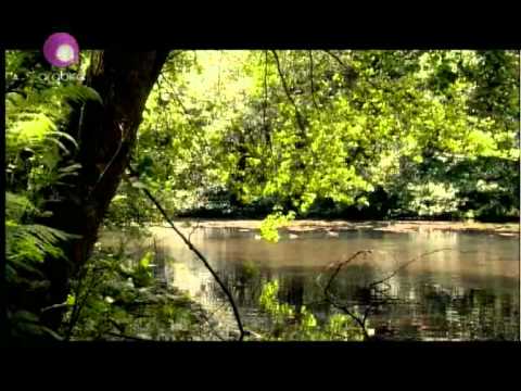 وائل جسار بسم الله Wael Jassar Besmellah وائل جسار بسم الله Wael Jassar Besmellah