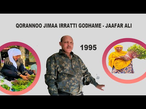 Jimaa Fi Qoronnoo Idil Addunyaa Qopheeysaan Jaafar Alii Jimaa Fi Qoronnoo Idil Addunyaa Qopheeysaan Jaafar Alii