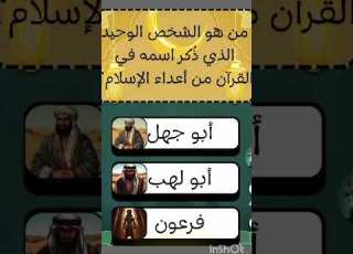 فيد وستفيد